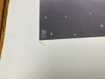 A9D8EDFA-4C89-42F7-84B2-2E9507AAF2F1_1_201_a