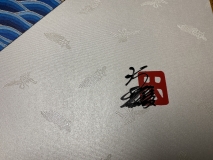 CFE03E71-3D2D-4F2F-B3A8-47535A00FA71_1_201_a