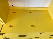 444A87AE-9DB9-4EE8-8CE4-12EF50E10EB3_1_201_a