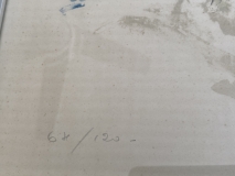 53B3723F-7C45-4289-ADFB-93E7992D7F5D_1_201_a