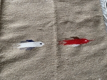 90DBE271-2088-44FD-BC03-50A7162FE86D_1_201_a