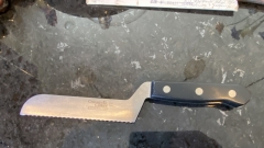 A98E6229-70D2-43D4-8C5B-8983AEEB6EDD_1_201_a