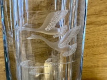 BF6E6C7E-D52F-473F-8845-A899922831D0_1_201_a