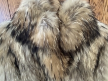 CCB5E84A-7482-45A7-9D83-A15616472D31