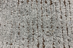 8B17B672-B063-4211-B3FF-D6AC04E89BA9_1_201_a