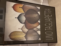 35080E09-B1D4-4ED2-95CA-465B1D2876E2