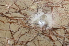 46207818-DE87-4BC6-BAFF-6E5381EF7106