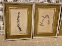 059E3FAB-1286-4806-AF4C-50ACDC82989C_1_201_a