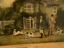 5639CB36-BB9E-45E1-80C9-7026E6BD68AF