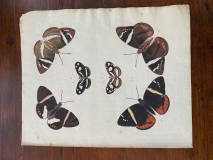 96EC91F5-B1DC-482A-AEBB-0A8500B903D7