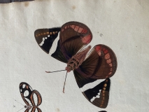 C8E6CCDD-E5D6-4E24-ABFC-F207AE429005