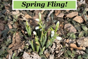 Spring Fling In Winnetka!