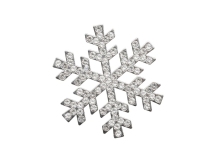 shutterstock_2547864669