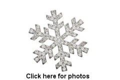 shutterstock_2547864669.jpeg-nggid0517443-ngg0dyn-300x200x100-00f0w010c011r110f110r010t010